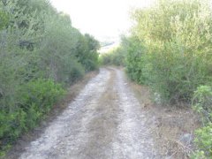 Ampio Terreno Comune di Sorso Località Marritza-Corrazzadda - 1