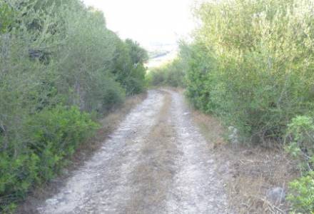 Ampio Terreno Comune di Sorso Località Marritza-Corrazzadda