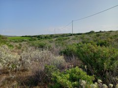 Ampio Terreno Comune di Sorso Località Marritza-Corrazzadda - 8