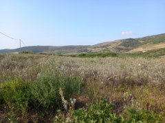 Ampio Terreno Comune di Sorso Località Marritza-Corrazzadda - 13